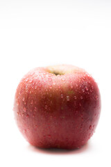 Variegated apple red and yellow with water drops on white background. Health and freshness concept. Copy space