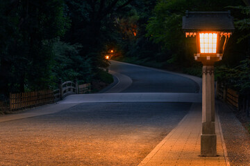 Night view of a Japanese Toro lantern illuminating the Sando sacred path through the dark forest of the Shinto shrine of Meiji-Jingu dedicated to the Emperor Meiji.