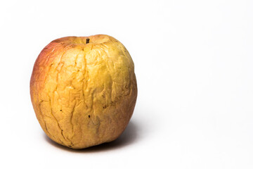 Shriveled yellow and red apple with deep wrinkles on white background.  Concept of aging.