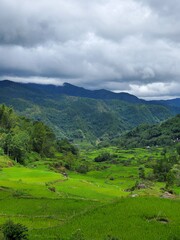 Fototapeta na wymiar North Toraja, Sapan