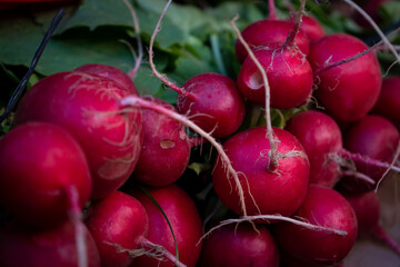 radishes at the market