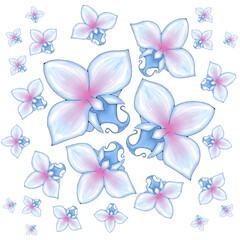 pattern design of orchid flowers on white 