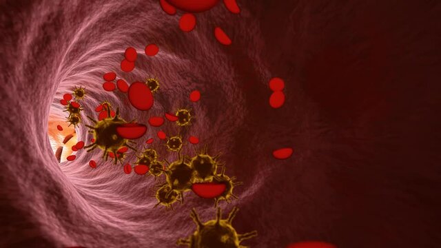 Intra-blood vessel images with red blood cells and virus models Or bacteria in the bloodstream Simulate the covid-19 virus in the human body. 3D Rendering