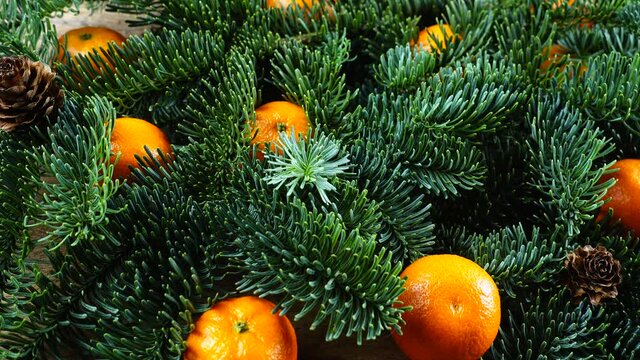 The Abies nobilis branch is on an old wooden vintage board and tangerines.