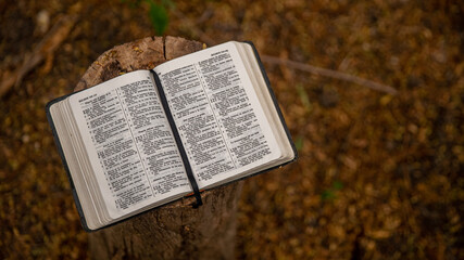 Biblia
