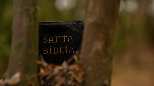 Biblia