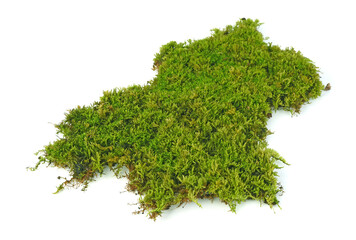 mos isolated on the white background.