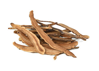 Ganoderma lucidum isolated on the white background.