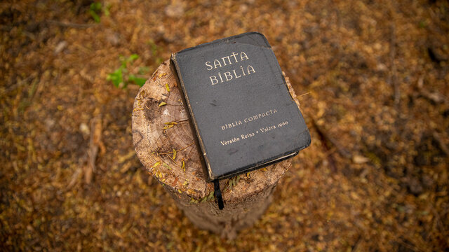 Biblia