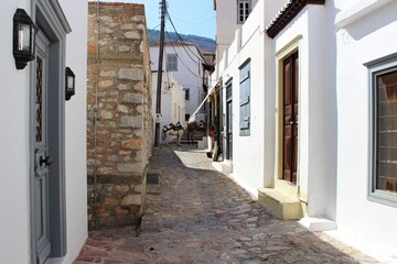 A narrow, crooked street in a Mediterranean town with white walls and stone steps. donkeys are...