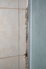 the silicone sealer is mildewed. Mold in the shower stall. Dampness and humidity