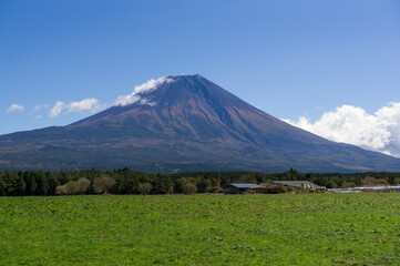 	高原からの富士山　