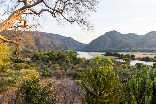 Mpoane veld on the banks fo the Zambezi River at dusk