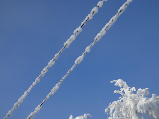 Electrical wires or power line covered by snow