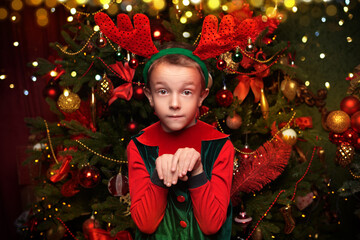 funny elf boy