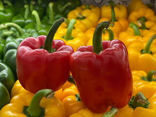 close up colorful fresh bell pepper in the shop