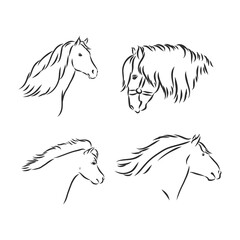 Black and white sketch of horse. horse vector sketch illustration