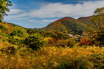 Landscape of mountain valley with trees in autumn colors