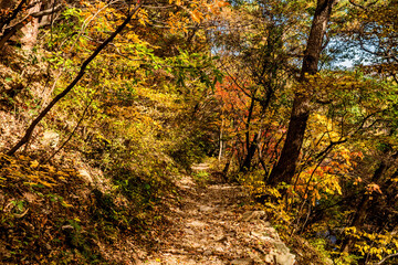 Fototapeta na wymiar Rocky hiking trail in mountain park