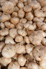 fresh water jicama in heap