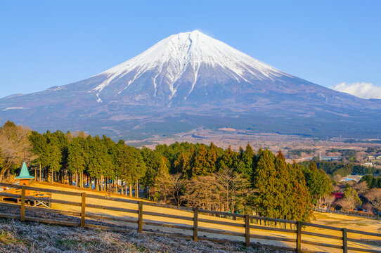 まかいの牧場から望む富士山