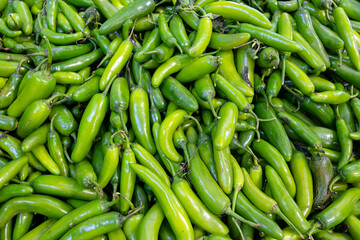 green and very fresh serrano chili
