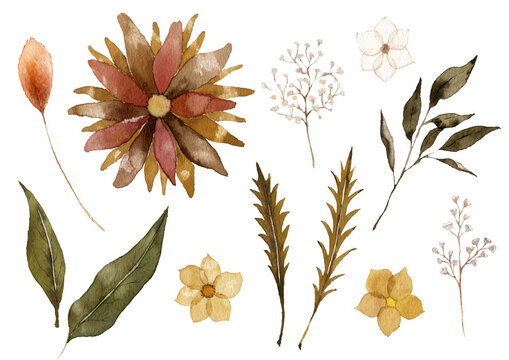 ボタニカルアート の画像 1 件の Stock 写真 ベクターおよびビデオ Adobe Stock