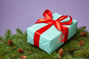 Blue Christmas or New Year gift box with red ribbon on the background of fir branches