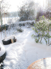 A sunny winter day with fresh snow and footprints in a garden