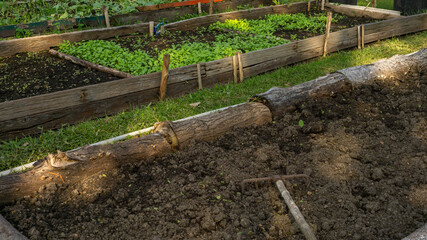 Preparing soil in wooden for plantation vegetable in garden nursery