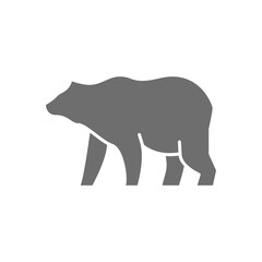 Grizzly bear grey icon. Isolated on white background