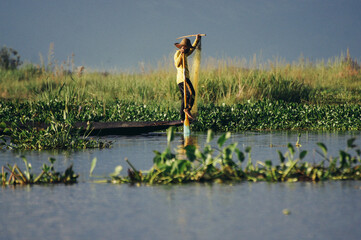 a person standing in a swamp
