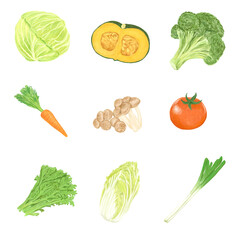 色鉛筆風の野菜のセット