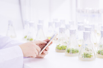 A girl laboratory assistant in a biological laboratory talking on the phone examining plants grown in a nutrient solution in flasks. Biological research at the university