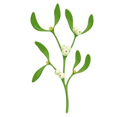 Mistletoe Хmas sprig vector illustration