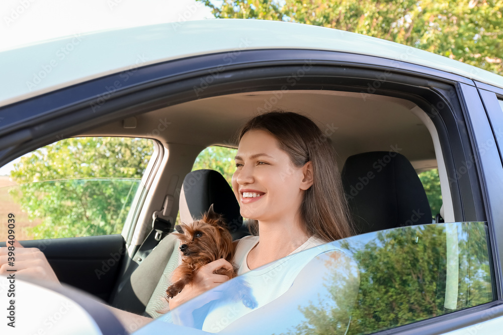 Wall mural Woman with cute dog traveling by car