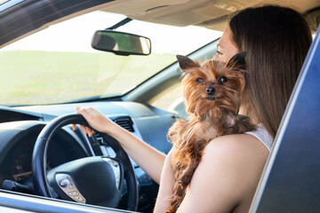 Woman with cute dog traveling by car