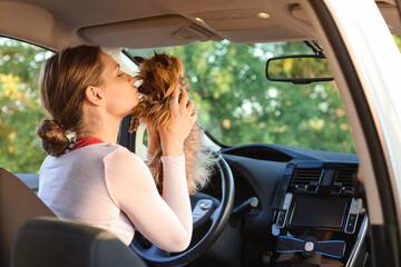 Woman with cute dog in modern car