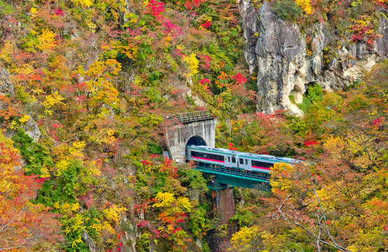 Train running out from tunnel in Naruko gorge, Miyagi, Japan.