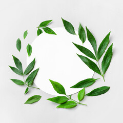 Green ash leaves and blank card on white background