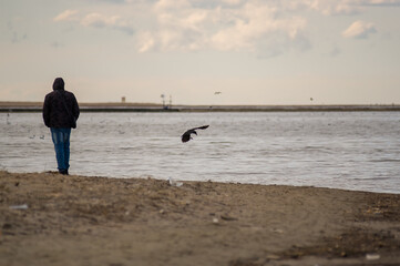 Sylwetka mężczyzny stojącego na brzegiem wody z przelatującym obok ptakiem