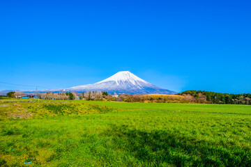朝霧高原と富士山