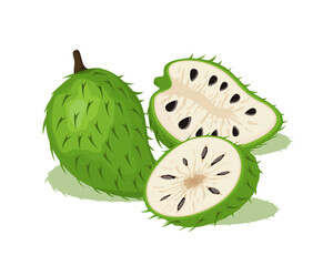 Green soursop fruit vector design, whole fruit and half
