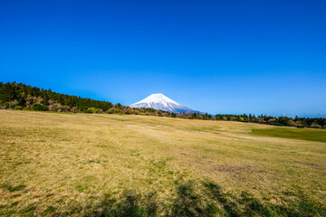 朝霧高原からの富士山