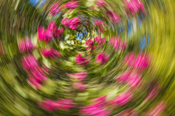 Artsy swirling motion blurred purple flowers
