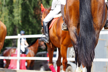 Equestrian sports, riders on horseback on a show jumping sport field