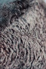 Outdoor Winter Walk
Long and merry horses