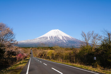 道と富士山