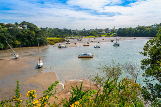 View of Little Shoal Bay, from Needles Eye Reserve, Auckland, New Zealand.