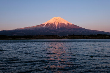 Fototapeta premium 静岡県の田貫湖と富士山